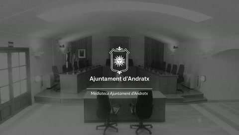Pleno Ordinario Abril 2026