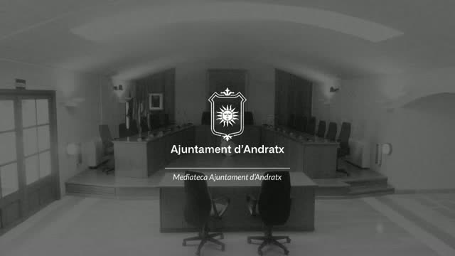 poster Pleno Ordinario Junio 2026