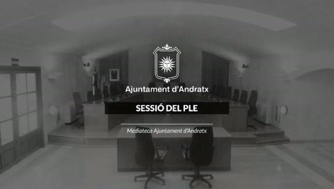Pleno Ordinario Julio 2026