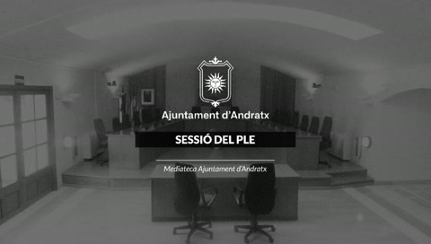 Pleno Ordinario Septiembre 2025